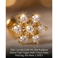 Begonia Accessories 316L Cerrahi Çelik Altın Kaplama Kararmaz Alerji Yapmaz Zirkon Taş Figür Unisex Tragus Helix Küpe Piercing A106-11