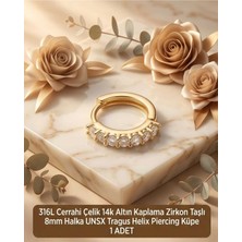 Begonia Accessories 316L Cerrahi Çelik Altın Kaplama Kararmaz Alerji Yapmaz Zirkon Taş Figür 1 Adet Unisex Minimal Halka Tragus Helix Küpe Piercing A503-33