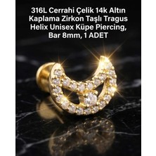 Begonia Accessories 316L Cerrahi Çelik Altın Kaplama Kararmaz Alerji Yapmaz Zirkon Taş Figür Unisex Tragus Helix Küpe Piercing A106-20