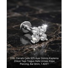 Begonia Accessories 316L Cerrahi Çelik Paslanmaz Kararmaz Alerji Yapmaz Zirkon Taşlı Figürlü Unisex Tragus Helix Küpe Piercing G106-15