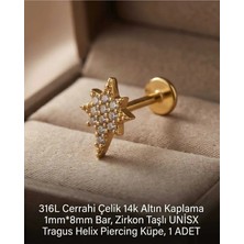 Begonia Accessories 316L Cerrahi Çelik Altın Kaplama Kararmaz Alerji Yapmaz Zirkon Taş Figür Unisex Tragus Helix Küpe Piercing A429-32