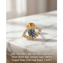 Begonia Accessories 316L Cerrahi Çelik Altın Kaplama Kararmaz Alerji Yapmaz Zirkon Taş Figür Unisex Tragus Helix Küpe Piercing A429-50