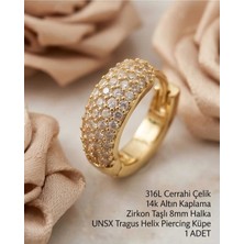 Begonia Accessories 316L Cerrahi Çelik Altın Kaplama Kararmaz Alerji Yapmaz Zirkon Taş Figür 1 Adet Unisex Minimal Halka Tragus Helix Küpe Piercing A503-35