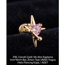 Begonia Accessories 316L Cerrahi Çelik Altın Kaplama Kararmaz Alerji Yapmaz Zirkon Taş Figür Unisex Tragus Helix Küpe Piercing A429-6
