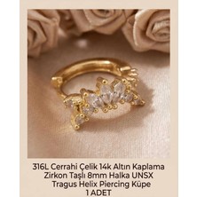 Begonia Accessories 316L Cerrahi Çelik Altın Kaplama Kararmaz Alerji Yapmaz Zirkon Taş Figür 1 Adet Unisex Minimal Halka Tragus Helix Küpe Piercing A503-20