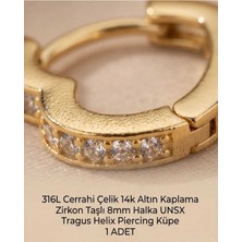 Begonia Accessories 316L Cerrahi Çelik Altın Kaplama Kararmaz Alerji Yapmaz Zirkon Taş Figür 1 Adet Unisex Minimal Halka Tragus Helix Küpe Piercing A503-28