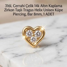 Begonia Accessories 316L Cerrahi Çelik Altın Kaplama Kararmaz Alerji Yapmaz Zirkon Taş Figür Unisex Tragus Helix Küpe Piercing A106-3