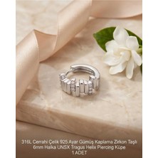 Begonia Accessories 316L Cerrahi Çelik Gümüş Kaplama Kararmaz Alerji Yapmaz Zirkon Taş Figür 1 Adet Unisex Minimal Halka Tragus Helix Küpe Piercing G503-19