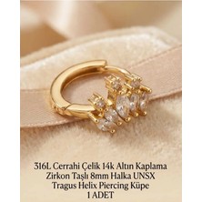 Begonia Accessories 316L Cerrahi Çelik Altın Kaplama Kararmaz Alerji Yapmaz Zirkon Taş Figür 1 Adet Unisex Minimal Halka Tragus Helix Küpe Piercing A503-14