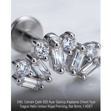 Begonia Accessories 316L Cerrahi Çelik Paslanmaz Kararmaz Alerji Yapmaz Zirkon Taşlı Figürlü Unisex Tragus Helix Küpe Piercing G106-22