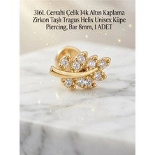 Begonia Accessories 316L Cerrahi Çelik Altın Kaplama Kararmaz Alerji Yapmaz Zirkon Taş Figür Unisex Tragus Helix Küpe Piercing A106-9