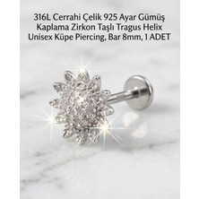 Begonia Accessories 316L Cerrahi Çelik Paslanmaz Kararmaz Alerji Yapmaz Zirkon Taşlı Figürlü Unisex Tragus Helix Küpe Piercing G106-19