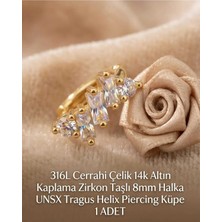Begonia Accessories 316L Cerrahi Çelik Altın Kaplama Kararmaz Alerji Yapmaz Zirkon Taş Figür 1 Adet Unisex Minimal Halka Tragus Helix Küpe Piercing A503-25