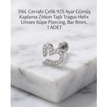 Begonia Accessories 316L Cerrahi Çelik Paslanmaz Kararmaz Alerji Yapmaz Zirkon Taşlı Figürlü Unisex Tragus Helix Küpe Piercing G106-23