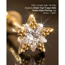 Begonia Accessories 316L Cerrahi Çelik Altın Kaplama Kararmaz Alerji Yapmaz Zirkon Taş Figür Unisex Tragus Helix Küpe Piercing A106-35