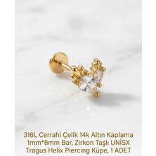 Begonia Accessories 316L Cerrahi Çelik Altın Kaplama Kararmaz Alerji Yapmaz Zirkon Taş Figür Unisex Tragus Helix Küpe Piercing A429-35