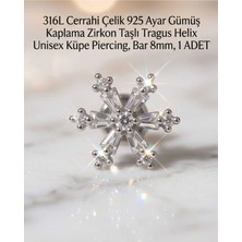 Begonia Accessories 316L Cerrahi Çelik Paslanmaz Kararmaz Alerji Yapmaz Zirkon Taşlı Figürlü Unisex Tragus Helix Küpe Piercing G106-4