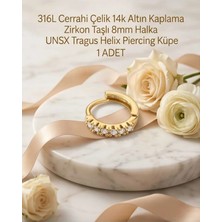 Begonia Accessories 316L Cerrahi Çelik Altın Kaplama Kararmaz Alerji Yapmaz Zirkon Taş Figür 1 Adet Unisex Minimal Halka Tragus Helix Küpe Piercing A503-13
