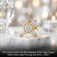 Begonia Accessories 316L Cerrahi Çelik Altın Kaplama Kararmaz Alerji Yapmaz Zirkon Taş Figür Unisex Tragus Helix Küpe Piercing A106-2