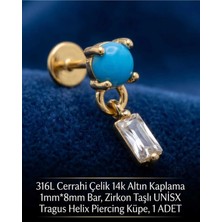 Begonia Accessories 316L Cerrahi Çelik Altın Kaplama Kararmaz Alerji Yapmaz Zirkon Taş Figür Unisex Tragus Helix Küpe Piercing A429-47