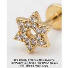 Begonia Accessories 316L Cerrahi Çelik Altın Kaplama Kararmaz Alerji Yapmaz Zirkon Taş Figür Unisex Tragus Helix Küpe Piercing A429-53