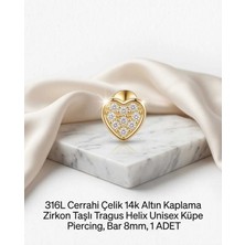 Begonia Accessories 316L Cerrahi Çelik Altın Kaplama Kararmaz Alerji Yapmaz Zirkon Taş Figür Unisex Tragus Helix Küpe Piercing A106-24
