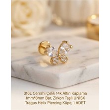 Begonia Accessories 316L Cerrahi Çelik Altın Kaplama Kararmaz Alerji Yapmaz Zirkon Taş Figür Unisex Tragus Helix Küpe Piercing A429-49
