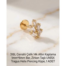 Begonia Accessories 316L Cerrahi Çelik Altın Kaplama Kararmaz Alerji Yapmaz Zirkon Taş Figür Unisex Tragus Helix Küpe Piercing A429-9