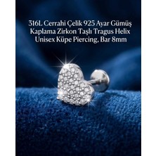 Begonia Accessories 316L Cerrahi Çelik Paslanmaz Kararmaz Alerji Yapmaz Zirkon Taşlı Figürlü Unisex Tragus Helix Küpe Piercing G106-29