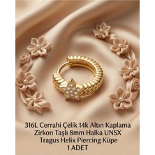 Begonia Accessories 316L Cerrahi Çelik Altın Kaplama Kararmaz Alerji Yapmaz Zirkon Taş Figür 1 Adet Unisex Minimal Halka Tragus Helix Küpe Piercing A503-1