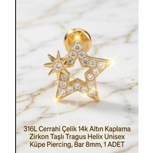 Begonia Accessories 316L Cerrahi Çelik Altın Kaplama Kararmaz Alerji Yapmaz Zirkon Taş Figür Unisex Tragus Helix Küpe Piercing A106-10