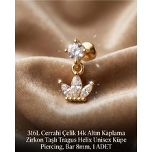 Begonia Accessories 316L Cerrahi Çelik Altın Kaplama Kararmaz Alerji Yapmaz Zirkon Taş Figür Unisex Tragus Helix Küpe Piercing A106-14