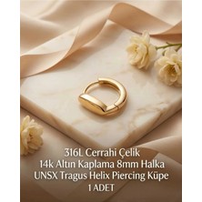 Begonia Accessories 316L Cerrahi Çelik Altın Kaplama Kararmaz Alerji Yapmaz Zirkon Taş Figür 1 Adet Unisex Minimal Halka Tragus Helix Küpe Piercing A503-8