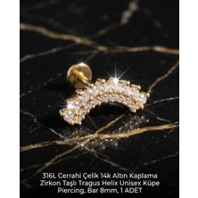Begonia Accessories 316L Cerrahi Çelik Altın Kaplama Kararmaz Alerji Yapmaz Zirkon Taş Figür Unisex Tragus Helix Küpe Piercing A106-46