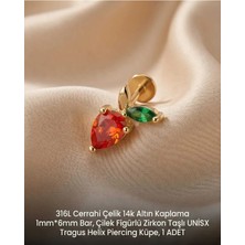 Begonia Accessories 316L Cerrahi Çelik Altın Kaplama Kararmaz Alerji Yapmaz Zirkon Taş Figür Unisex Tragus Helix Küpe Piercing A429-37