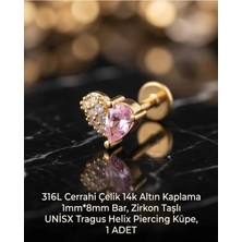 Begonia Accessories 316L Cerrahi Çelik Altın Kaplama Kararmaz Alerji Yapmaz Zirkon Taş Figür Unisex Tragus Helix Küpe Piercing A429-45