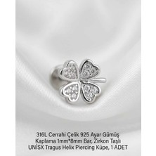 Begonia Accessories 316L Cerrahi Çelik Paslanmaz Kararmaz Alerji Yapmaz Zirkon Taşlı Figürlü Unisex Tragus Helix Küpe Piercing G429-2