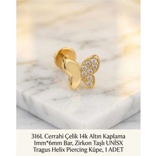 Begonia Accessories 316L Cerrahi Çelik Altın Kaplama Kararmaz Alerji Yapmaz Zirkon Taş Figür Unisex Tragus Helix Küpe Piercing A429-8