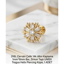 Begonia Accessories 316L Cerrahi Çelik Altın Kaplama Kararmaz Alerji Yapmaz Zirkon Taş Figür Unisex Tragus Helix Küpe Piercing A429-29