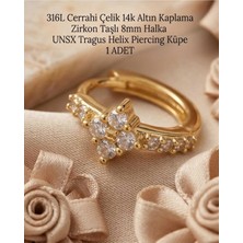 Begonia Accessories 316L Cerrahi Çelik Altın Kaplama Kararmaz Alerji Yapmaz Zirkon Taş Figür 1 Adet Unisex Minimal Halka Tragus Helix Küpe Piercing A503-11