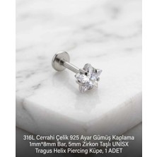 Begonia Accessories 316L Cerrahi Çelik Paslanmaz Kararmaz Alerji Yapmaz Zirkon Taşlı Figürlü Unisex Tragus Helix Küpe Piercing G429-1