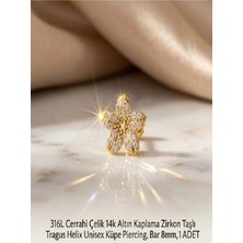 Begonia Accessories 316L Cerrahi Çelik Altın Kaplama Kararmaz Alerji Yapmaz Zirkon Taş Figür Unisex Tragus Helix Küpe Piercing A106-6