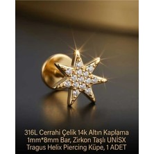 Begonia Accessories 316L Cerrahi Çelik Altın Kaplama Kararmaz Alerji Yapmaz Zirkon Taş Figür Unisex Tragus Helix Küpe Piercing A429-30