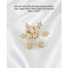 Begonia Accessories 316L Cerrahi Çelik Altın Kaplama Kararmaz Alerji Yapmaz Zirkon Taş Figür Unisex Tragus Helix Küpe Piercing A106-13