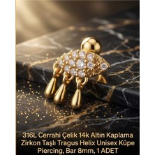 Begonia Accessories 316L Cerrahi Çelik Altın Kaplama Kararmaz Alerji Yapmaz Zirkon Taş Figür Unisex Tragus Helix Küpe Piercing A106-19