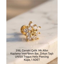 Begonia Accessories 316L Cerrahi Çelik Altın Kaplama Kararmaz Alerji Yapmaz Zirkon Taş Figür Unisex Tragus Helix Küpe Piercing A429-46