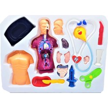 Bircan 18 Parça Doktor Oyun Seti İnsan Vücudu Anatomisi Eğitici Renkli Aksesuarlar