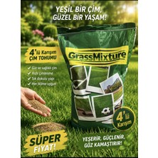 Grass Mixture Çim Tohumu