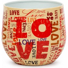 Decor Impex Love Metal Saksı Xs
