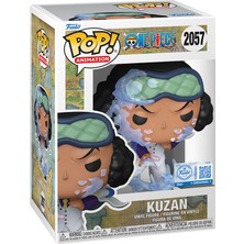 Funko One Piece Pop! Kuzan (Ice Block Partisan) Anime Figür